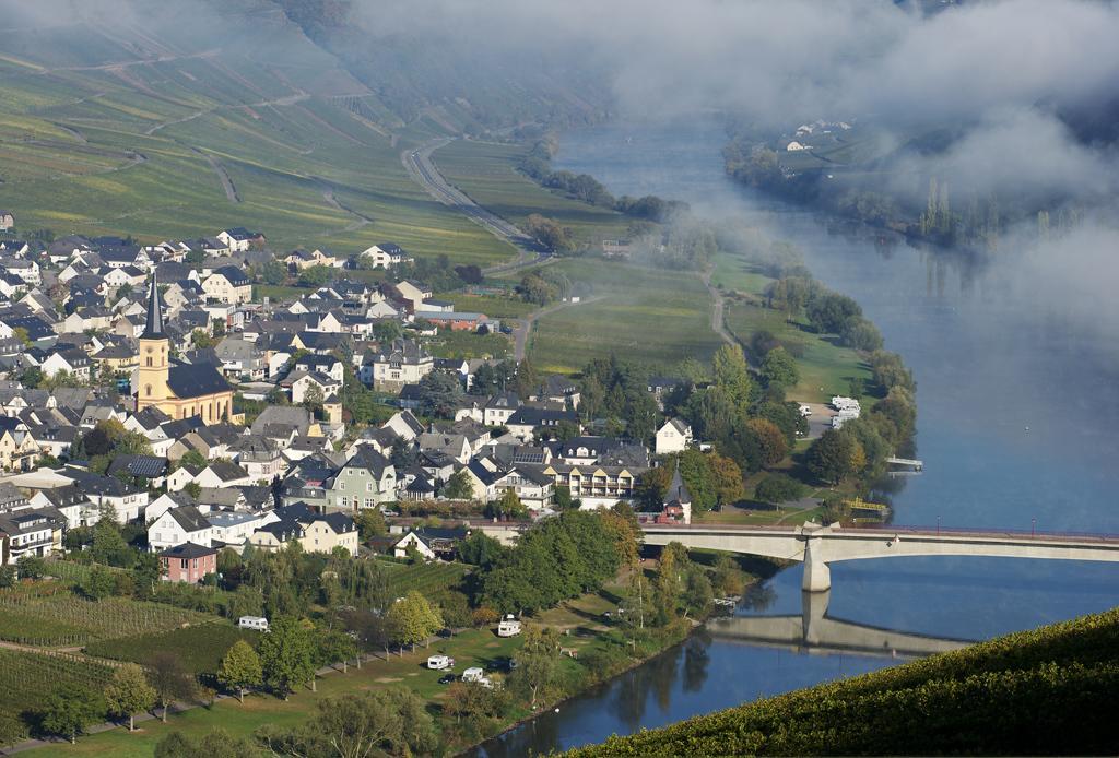Weingut & Gaestehaus Edwin Hoffmann Trittenheim Kültér fotó