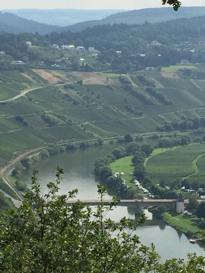 Weingut & Gaestehaus Edwin Hoffmann Trittenheim Kültér fotó